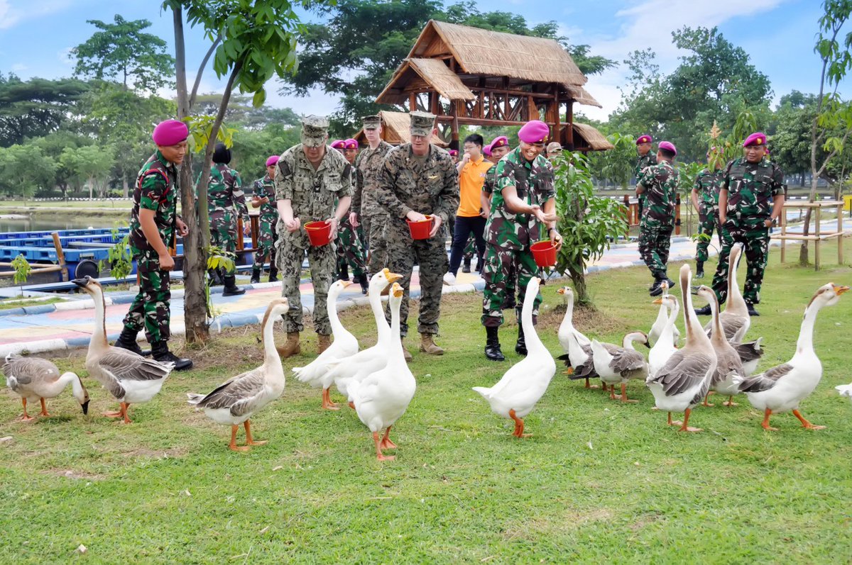 JatosintRSV's tweet photo. One of the most dangerous activities in #CARAT2022๐ฎ๐ฉ๐บ๐ธ
#Soang #Goose
๐ธTNI AL https://t.co/d323ovO2dU
