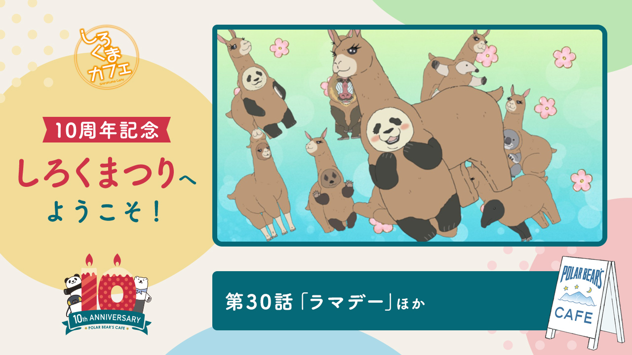 Tvアニメ しろくまカフェ 公式 Shirokuma Cafe Twitter