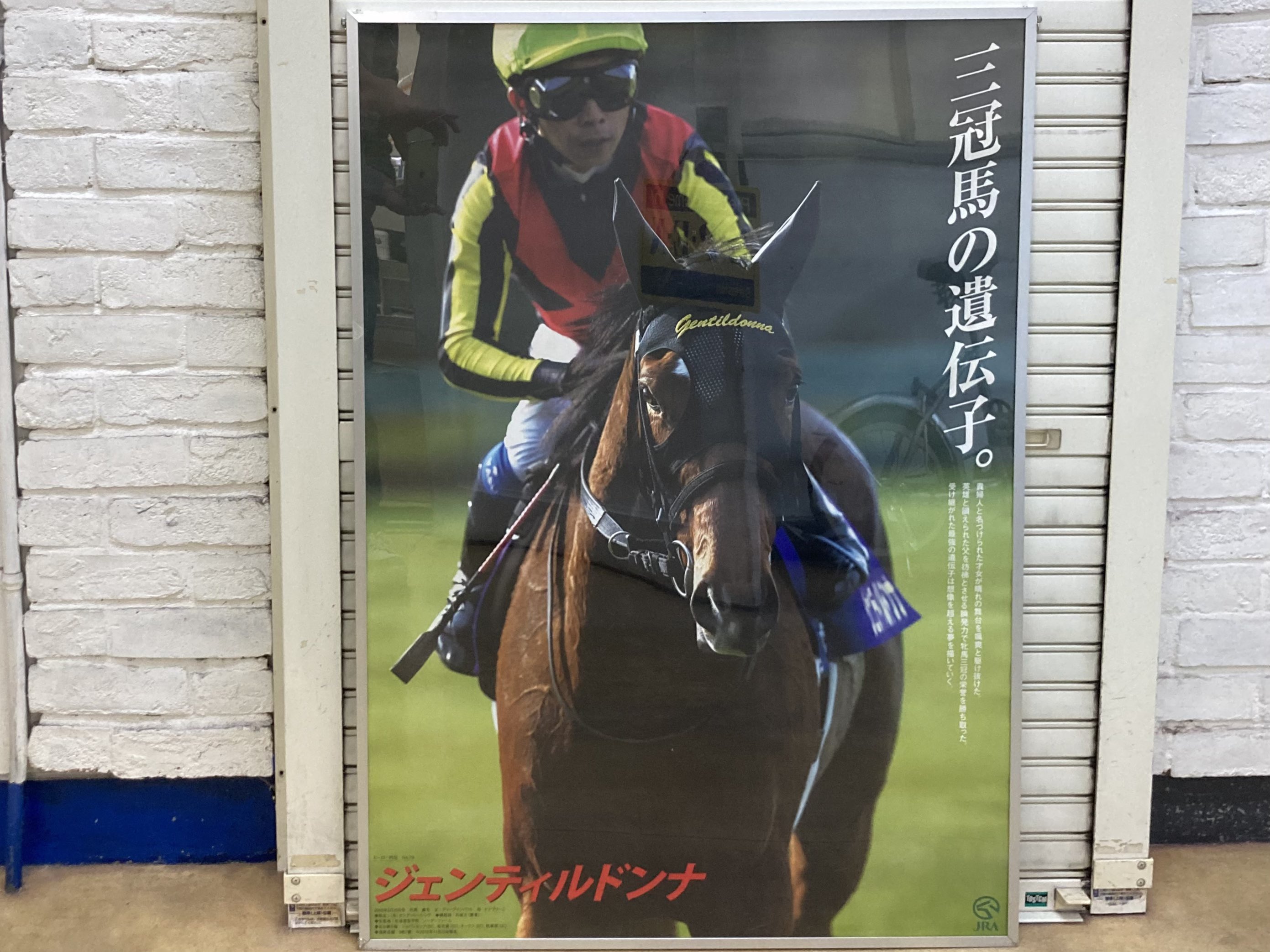 競馬 JRA ジャパンカップ コントレイル ポスター B1