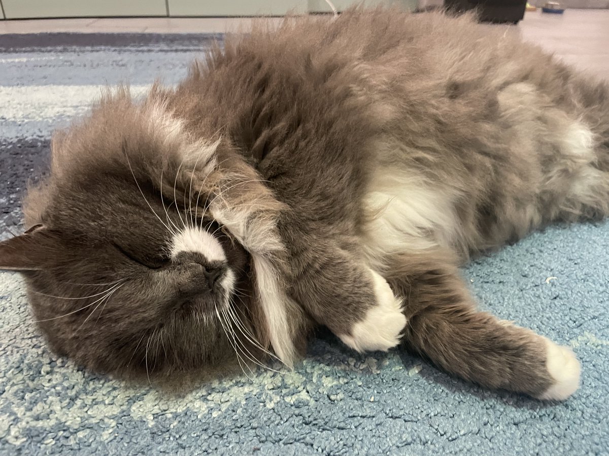 AndrejaS tweet media