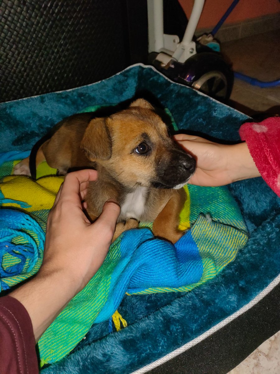 AinoaAiserd31's tweet photo. El mejor regalo que nos podía dar la Navidad 💓 Bienvenida Freya🥺 https://t.co/gKmU3ZsIt3