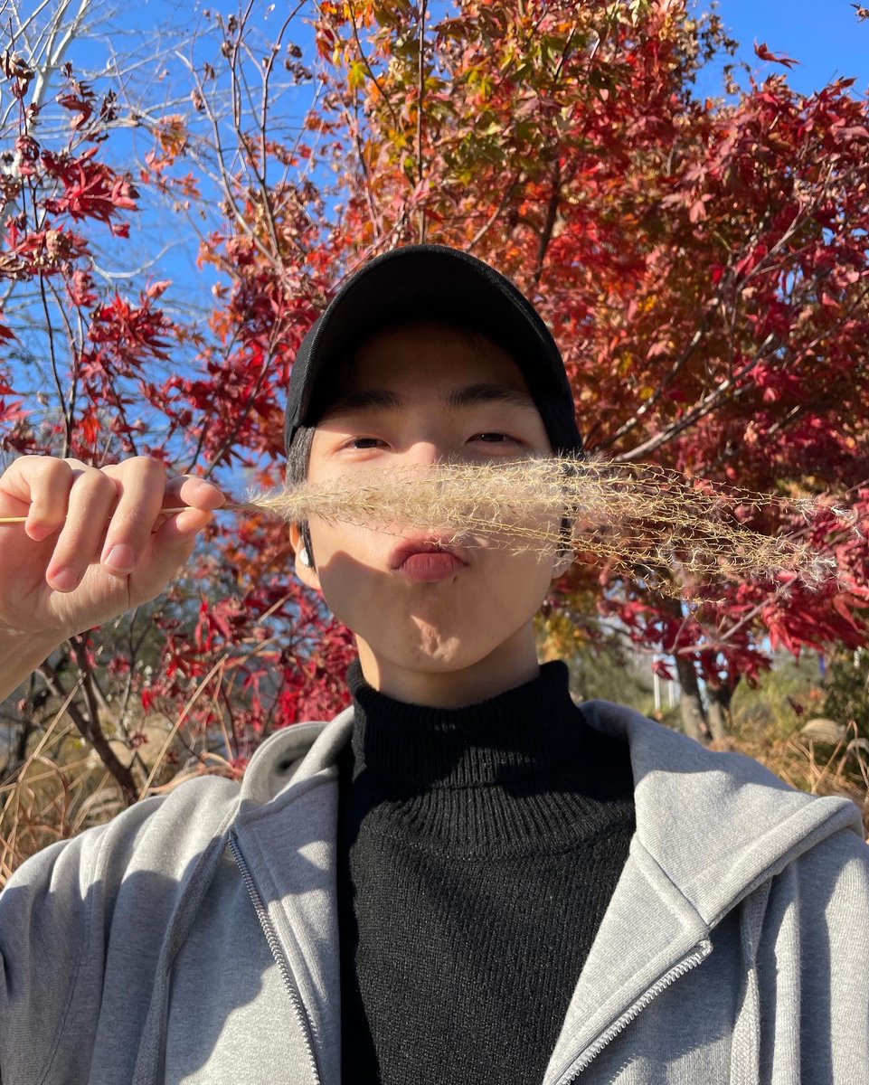 D.COY 디코이 tweet media