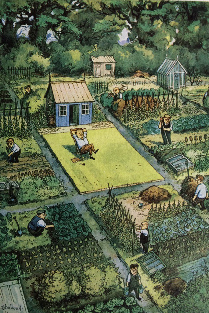 Simon Evan-Cook tweet media