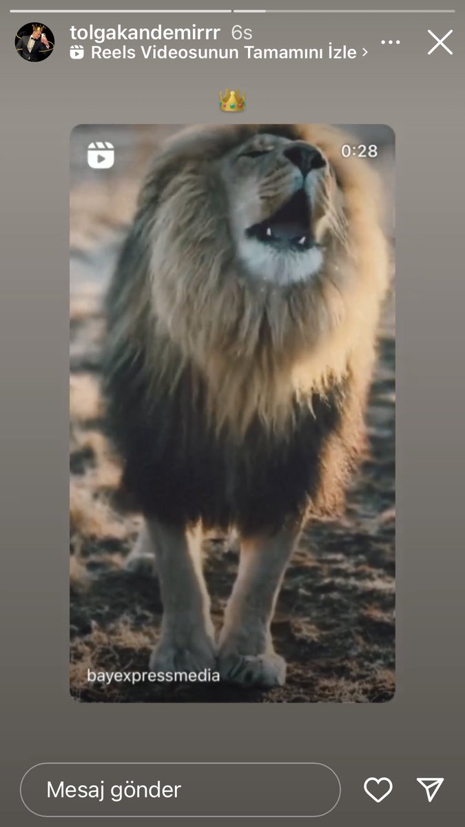 tamam anladik asiksiniz