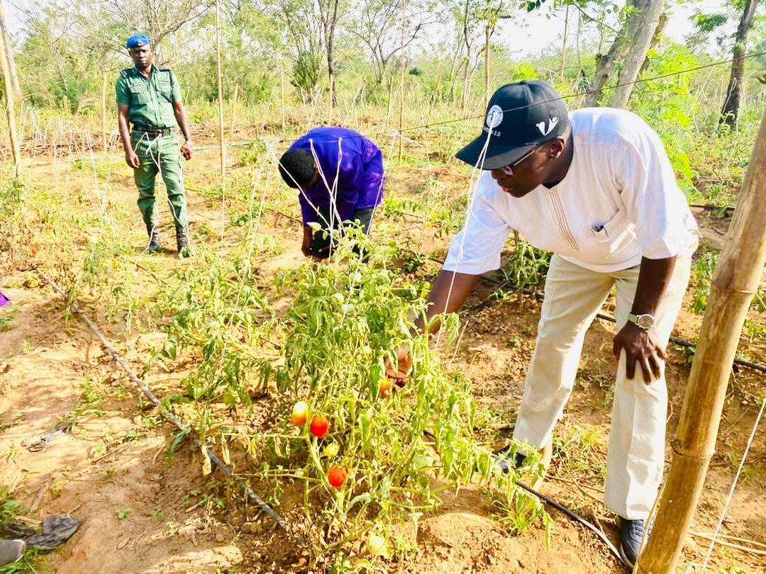 OyapTribe's tweet photo. We had the pleasure and privilege of having The Executive Adviser to Oyo State governor on Agribusiness ‘Dr @akande_debo on our tomato farm 

His continuous support to the youth of Oyo State is immeasurable, we are indeed glad to have him as a mentor at OYAP tribe 

🌱🚀 https://t.co/0HAYSDTZPP
