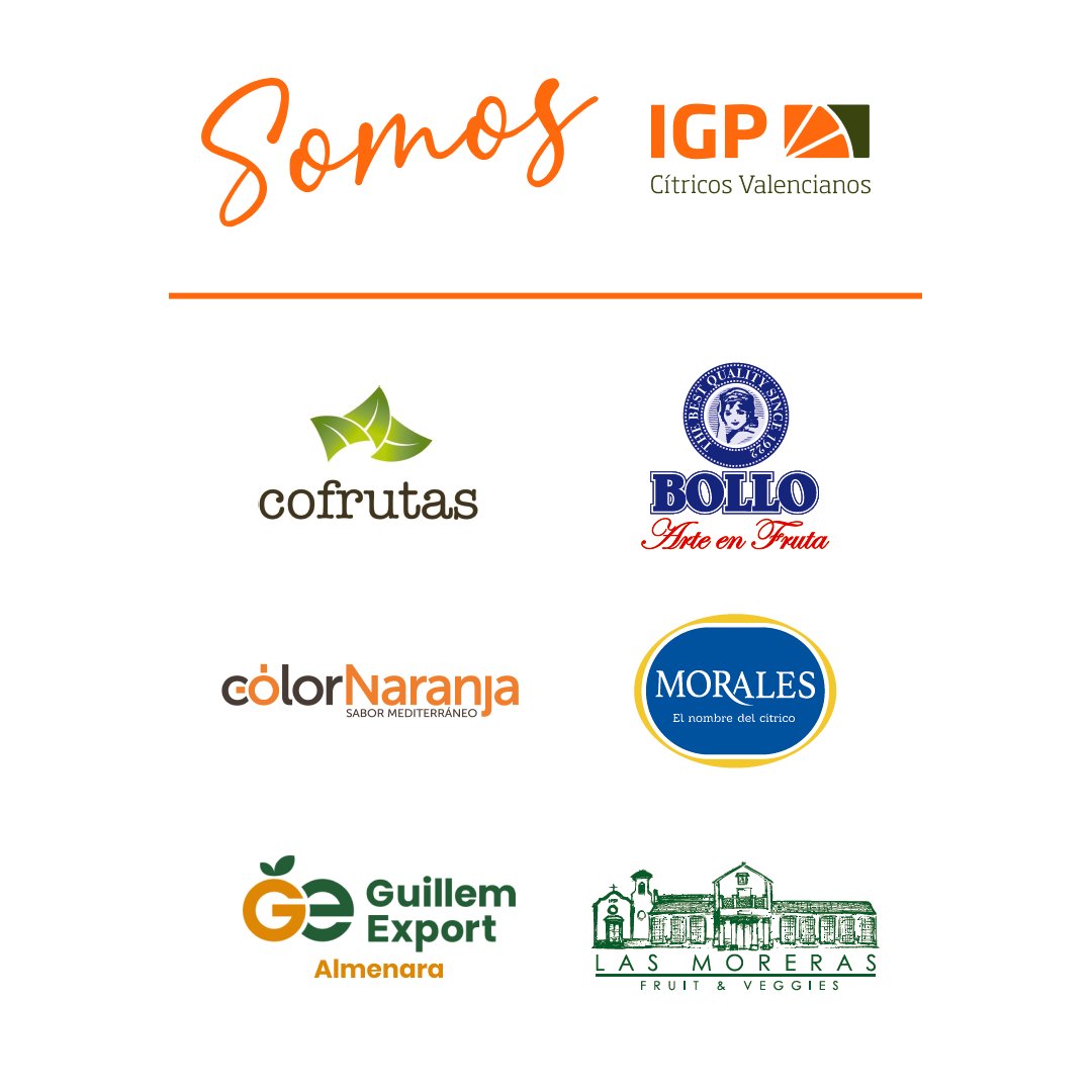 CValencianos's tweet photo. ¡Somos IGP Cítricos Valencianos!
#cofrutas #bollo #colornaranja #morales #lasmoreras https://t.co/bwag54qHV7