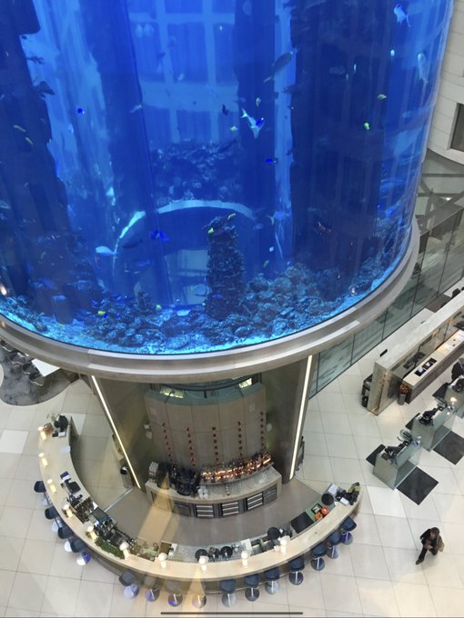 aquarium containing 1,500 fish in Berlin hotel