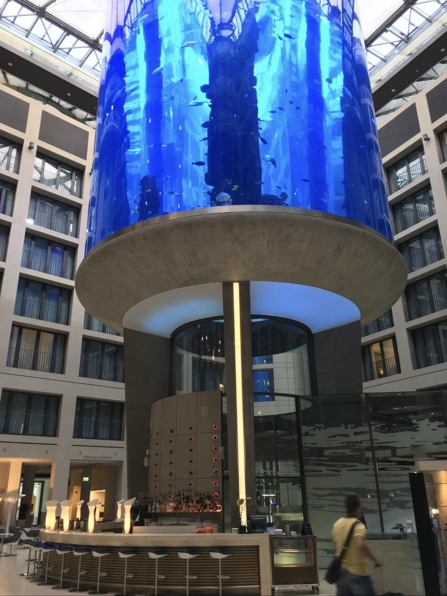 <a href="/niklas_scheele/">Niklas Scheele</a> #Aquarium #Berlin #Sealife #Dom:

All gone. I am sad!
RIP 1,500 fishes…