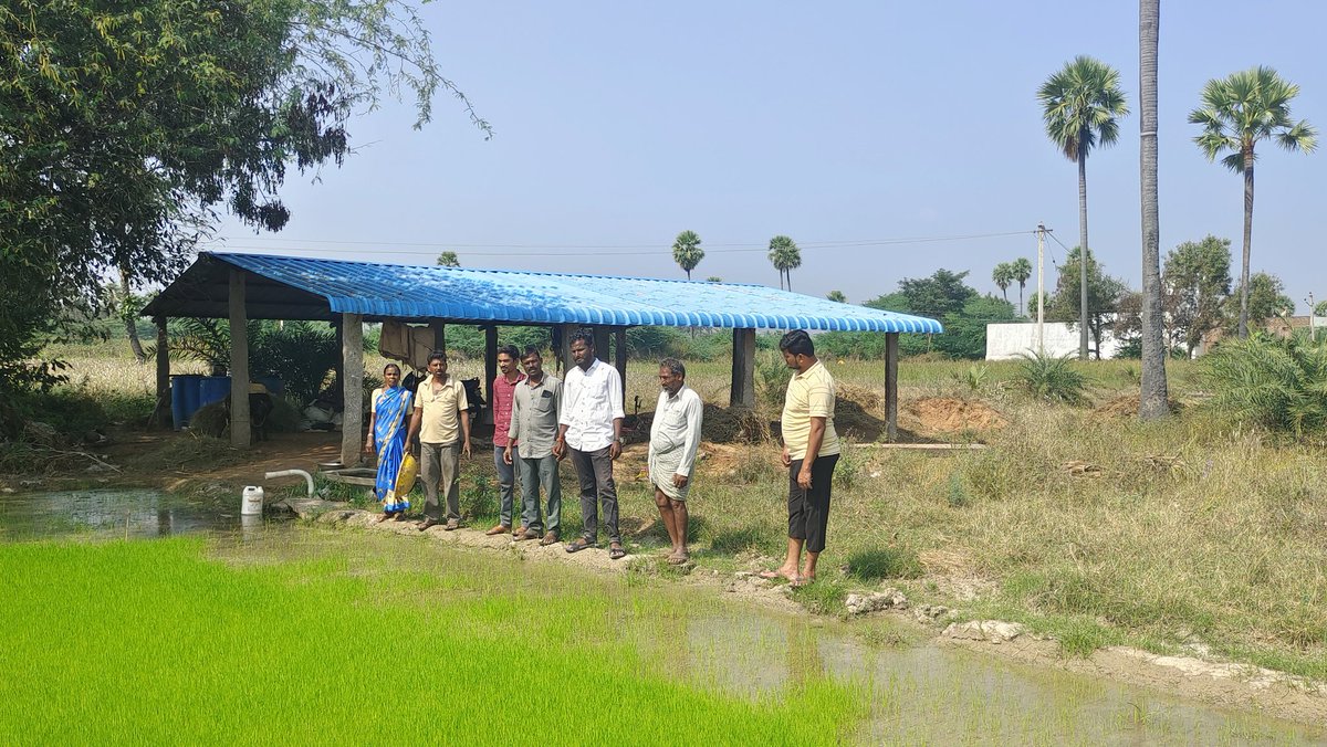 ChadaLaxman's tweet photo. Visited paddy nursery fields and giving protection measure for nursery from cold injury to farmers at vailapalli village.
@Collector_YDR 
@ACLB_Yadadri 
@Anuradha_DAO https://t.co/7VSV9xuJJy