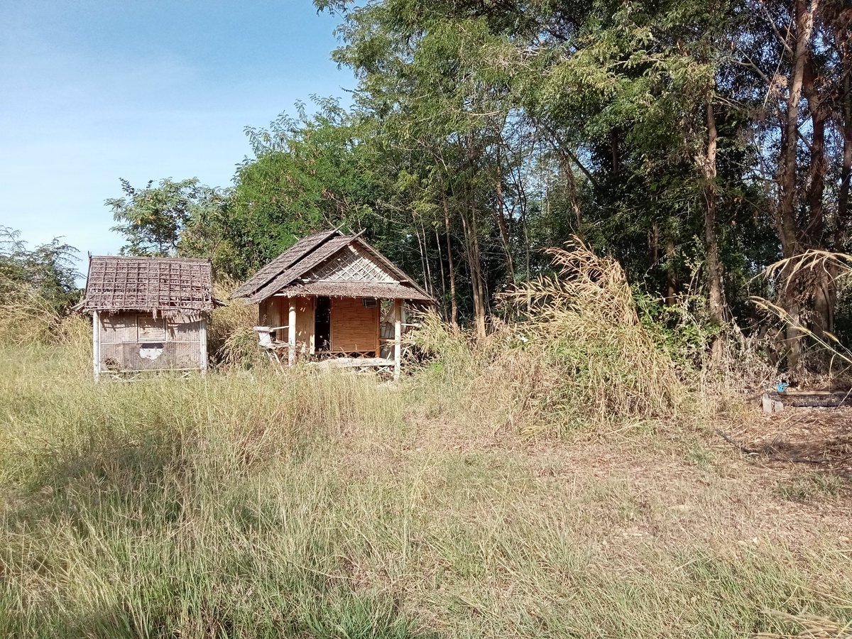 BoBoo_jack's tweet image. ร้านกาแฟเก่า