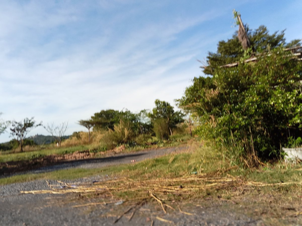 BoBoo_jack's tweet image. ร้านกาแฟเก่า