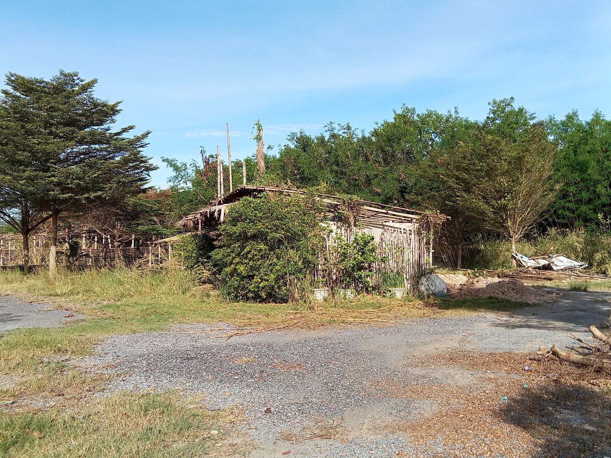 BoBoo_jack's tweet image. ร้านกาแฟเก่า