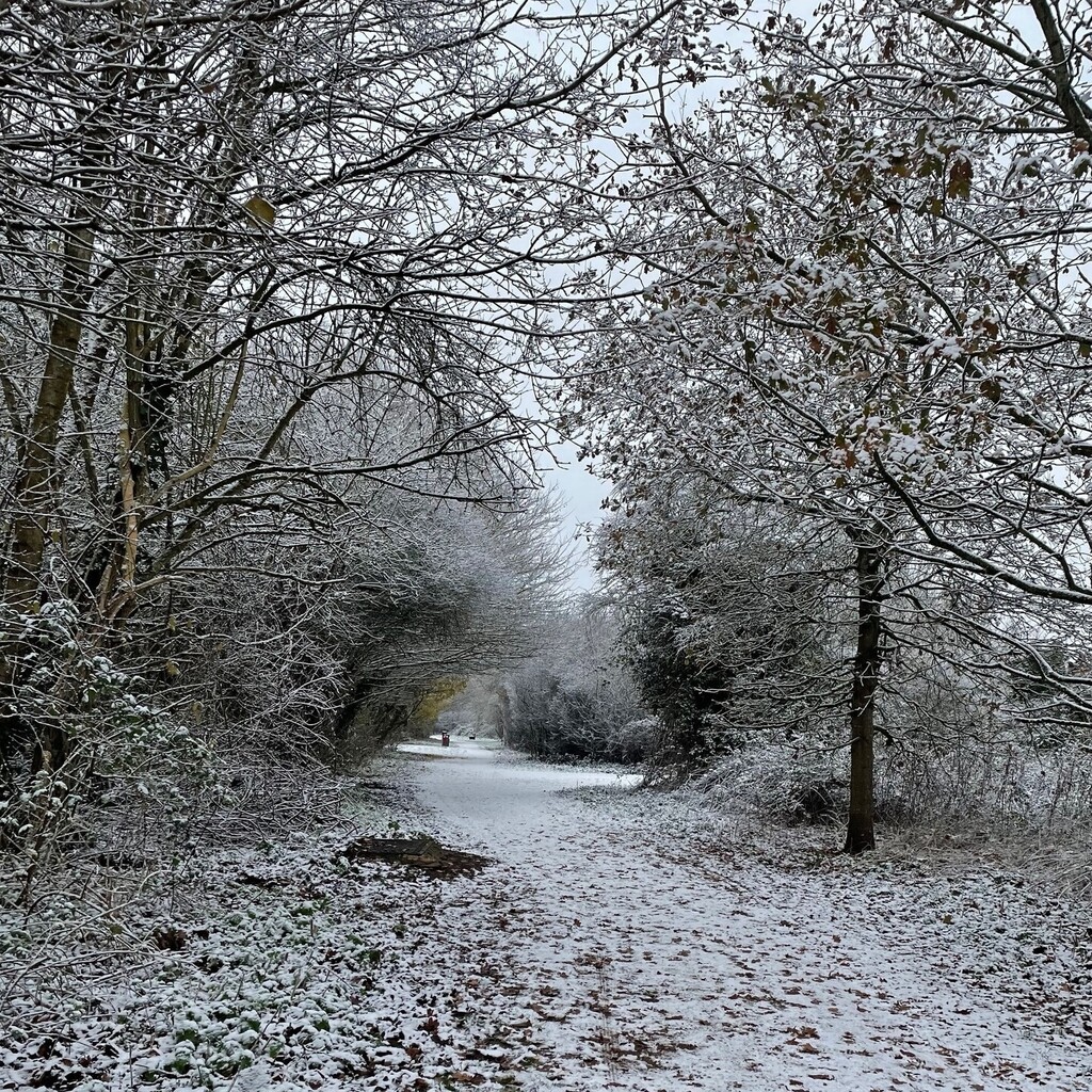 minnowmep's tweet photo. There are weeks, and then there are weeks. This one has definitely felt rather bleak. #landscape_lovers #UKexplore #rural_love #landscapephotography #landscapelovers #landscape_captures #landscape_hunters #beautyinnature #freshairandfreedom #justgetoutsi… https://t.co/xrWhvx3jML https://t.co/Ck6rECwpSJ