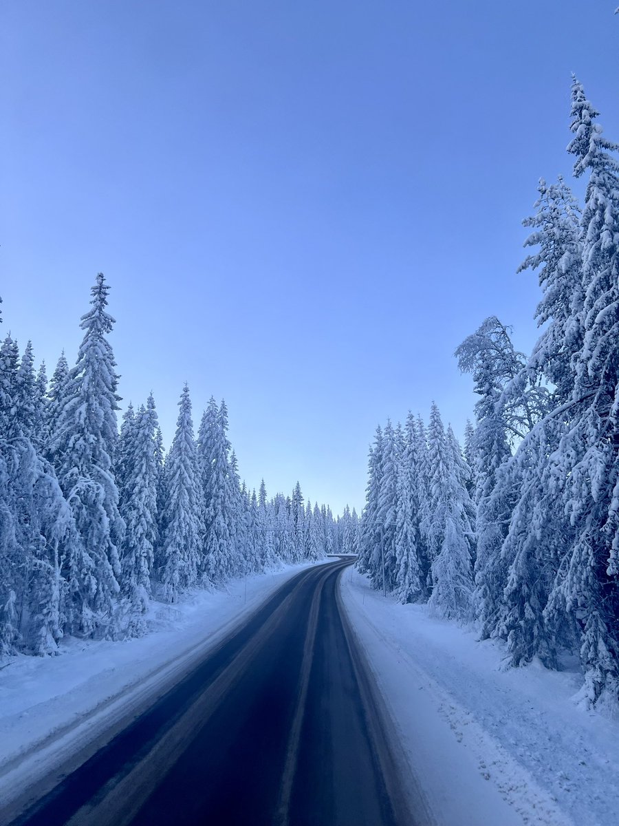Conference on theoretical and computational aspects of dynamical systems. #HB60 
Good talks, inspiring stories and an amazing view.                                           📍Trysil, Norway. 12-16 December 2022.       #NTNU #trysil