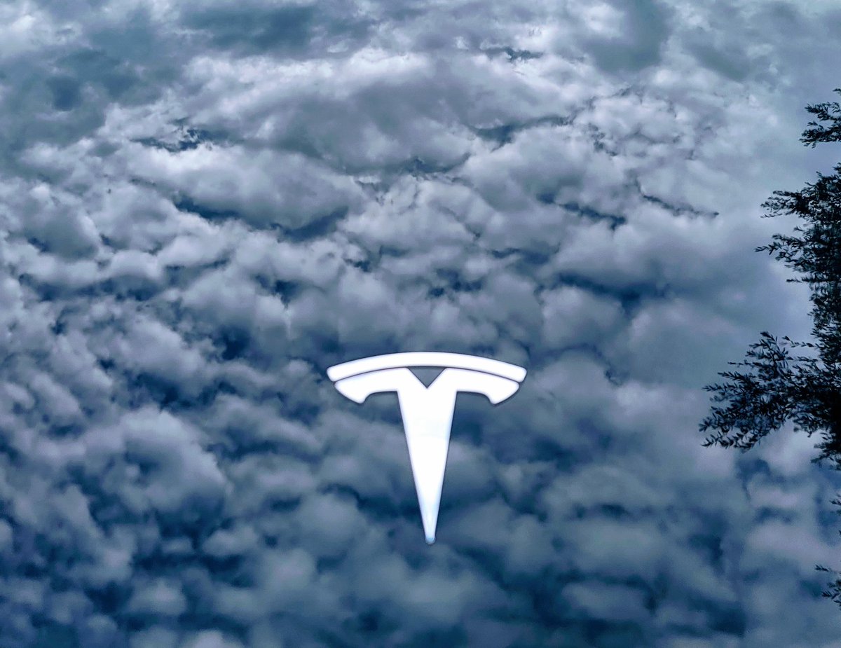 OnceMetaverse's tweet image. 