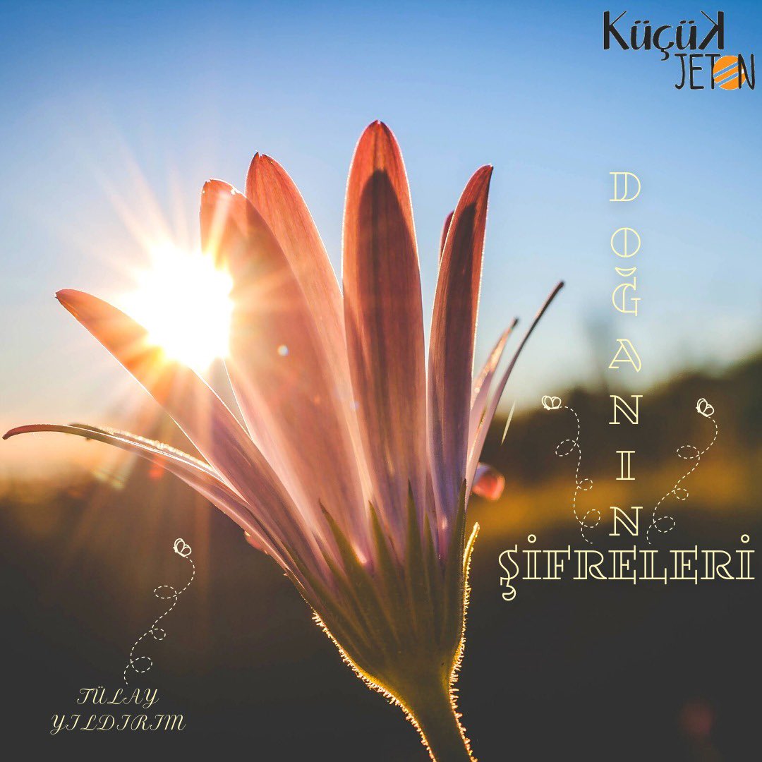 Sevgili Tülay Yıldırım’ın Aralık sayısında  kaleme aldığı "Doğanın Şifreleri" isimli yazısı kucukjeton.com'da yayında.

Link: kucukjeton.com/doganin-sifrel…

<a href="/tlyyldrm_/">Tülay’s ♓️☯️</a> 

#doğa
#cuma 
#kızçocuklarıokusun
#dergi 
#orman
#doğanınşifreleri
#çevre

Keyifli okumalar.