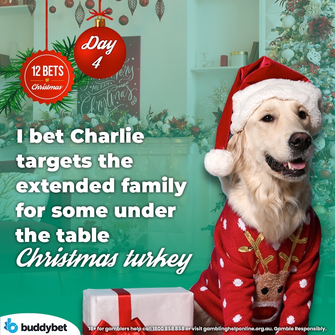 Our furry friends bring a lot of joy during the holiday season! What are your predictions for your furry companions surrounding the holidays?! #dogstagram #dogs #buddybet #12daysofchristmas
