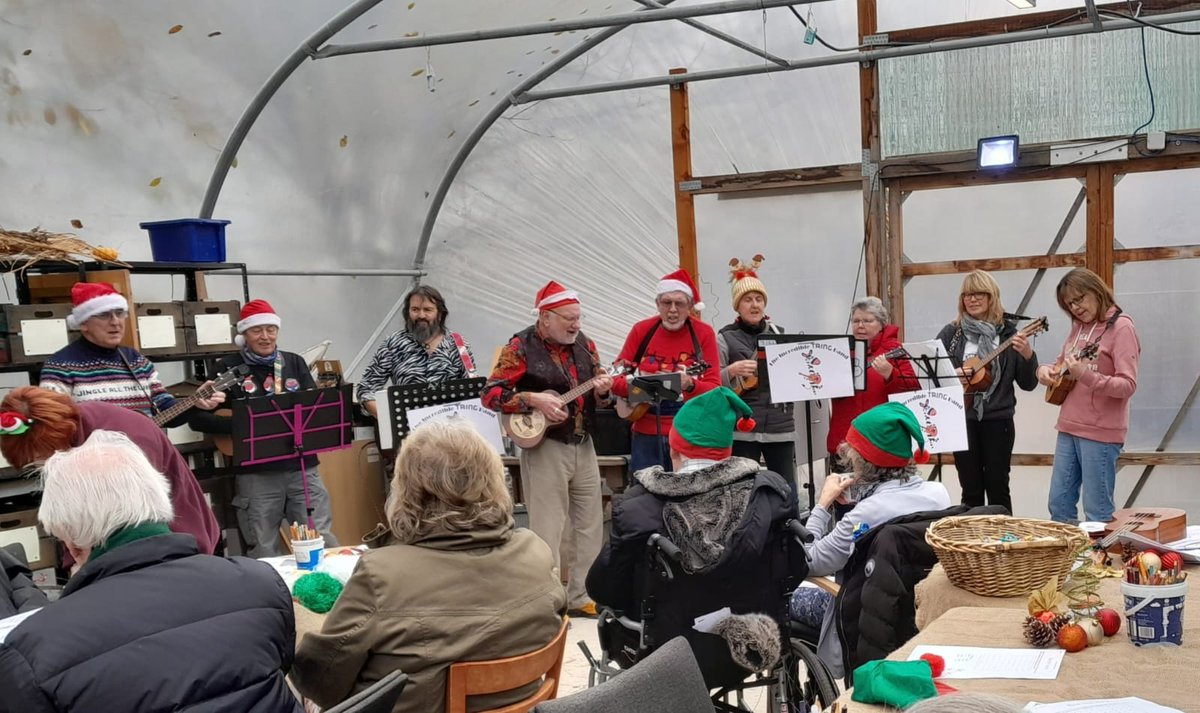 Lindengate tweet media