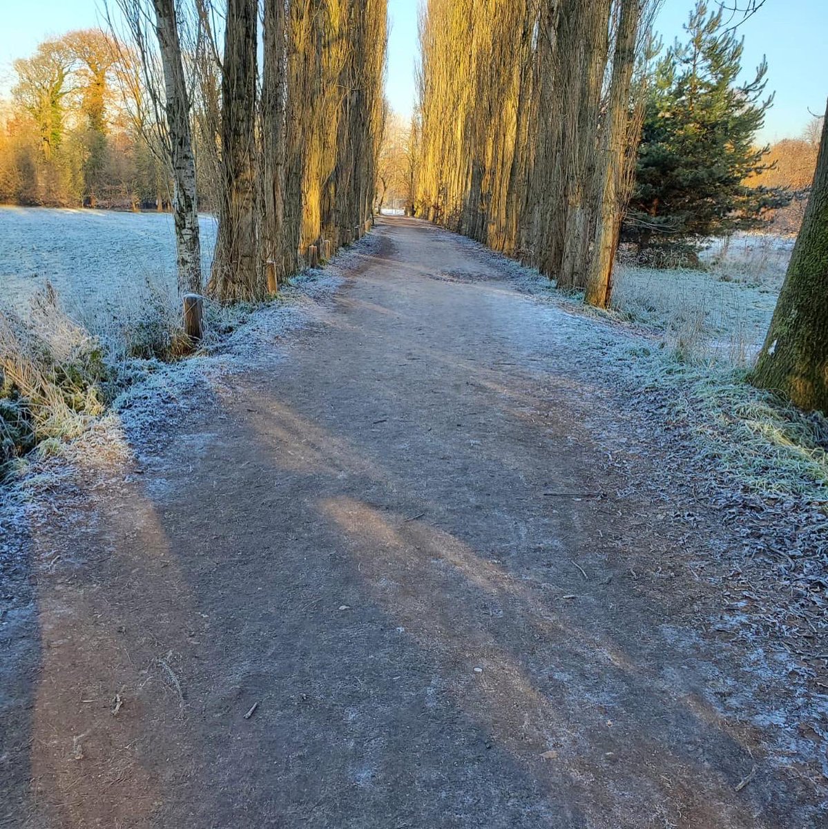 FletcherMoss parkrun tweet media