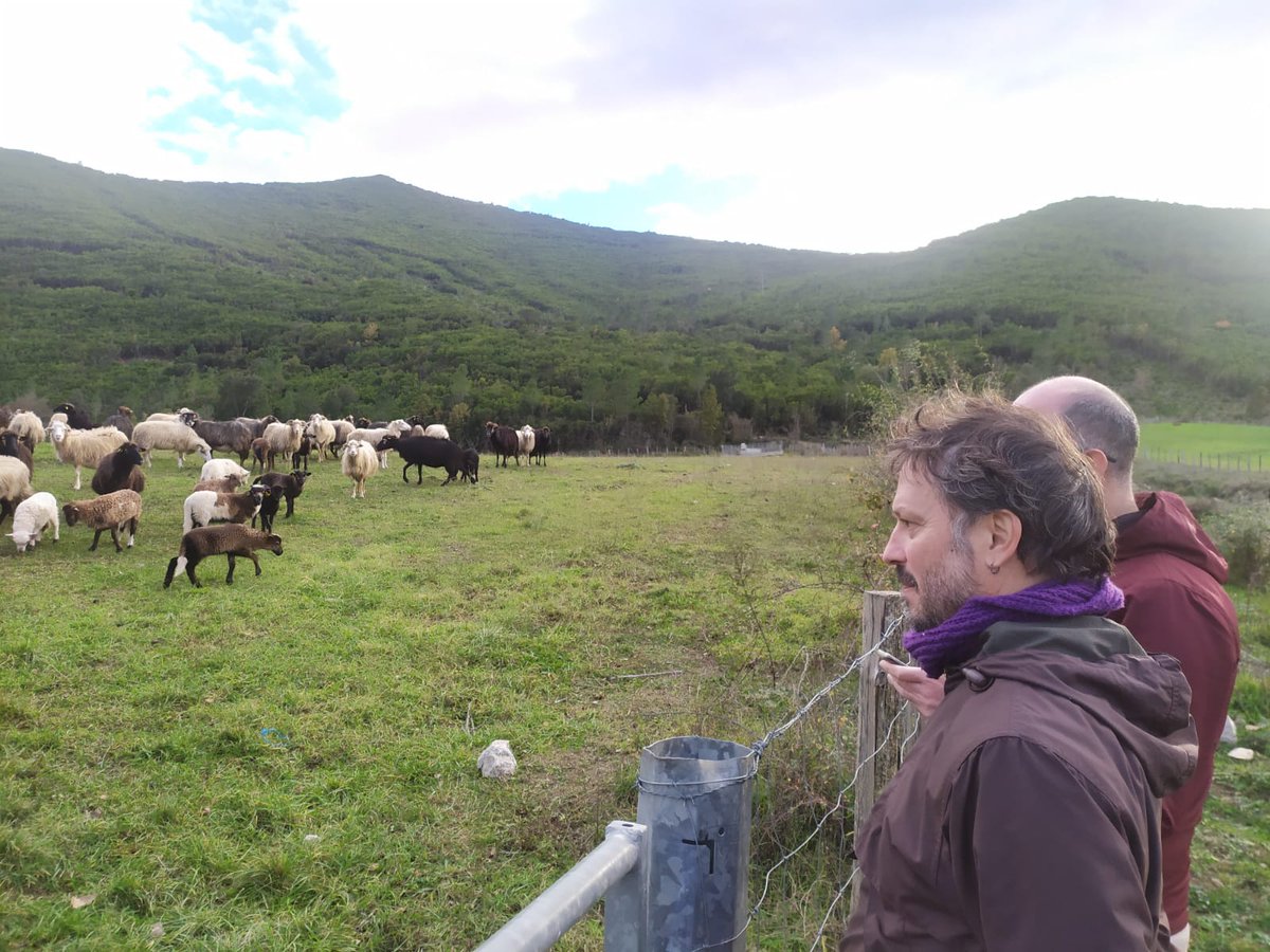 pastinnova's tweet photo. 📌INRAE-SELMET organised the first seminar of the WP 5 of Pastinnova in Corte (Corsica) on November, 23rd and 34th in “face to face” and Visio – Conference. 
#PASTINNOVA #Mediterranenpastoralism #Shepherdslife #Valuechainofpastroalproducts #RegionalLivingLabs #H2020 #PRIMAMED https://t.co/pclaEiafpJ