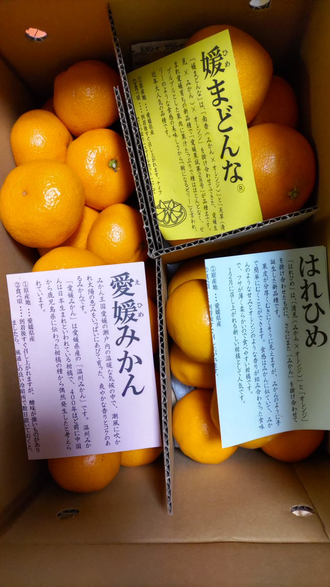 使い勝手の良い みかんさま確認用8 ecousarecycling.com