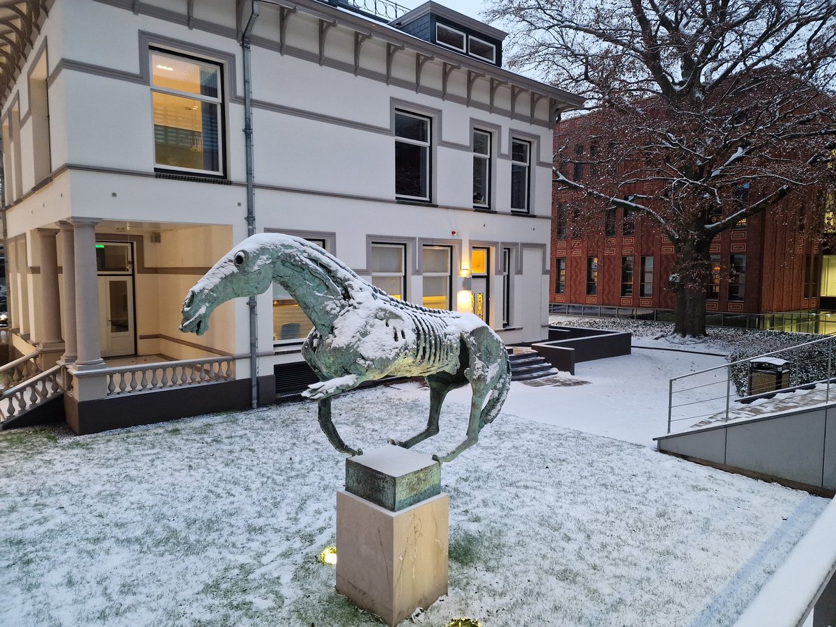 ethicistforhire's tweet photo. #DutchWinter https://t.co/MP2C2CPg4M