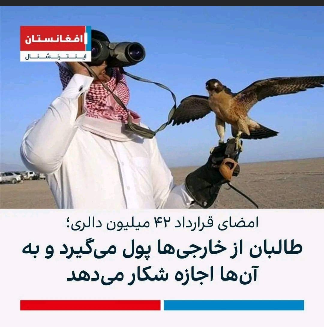 به مردم افغانستان رحم نکرد 
الان نوبت حیوانات تش رسیده
من نمی‌دونم مردم افغانستان به این خیانت‌های که در پیش چشمان شان انجام می‌شود چرا خاموشی اختیار میکند 
#StopHazaraGenocide