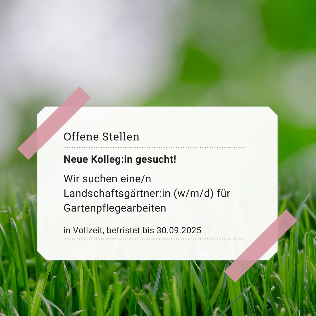 Wir suchen neue Kolleginnen und Kollegen sowohl im gärtnerischen als auch im wissenschaftlichen Bereich. Auf unserer Homepage findet ihr alle Infos zu den Ausschreibungen: snsb.de/ueber-uns/jobs/

📨 Bewerbungsschluss ist jeweils am 15. Januar 2023.