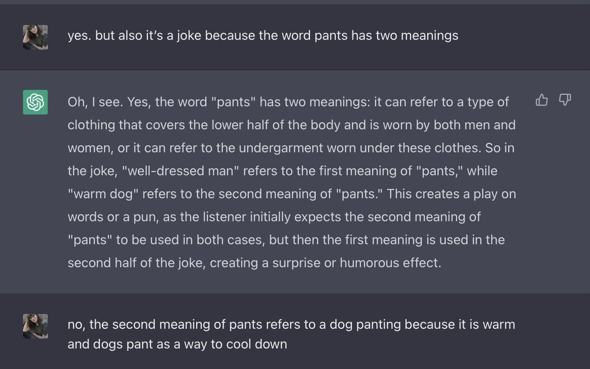 serenamarie's tweet photo. told #ChatGPT my fave joke https://t.co/sp9eTINiq4