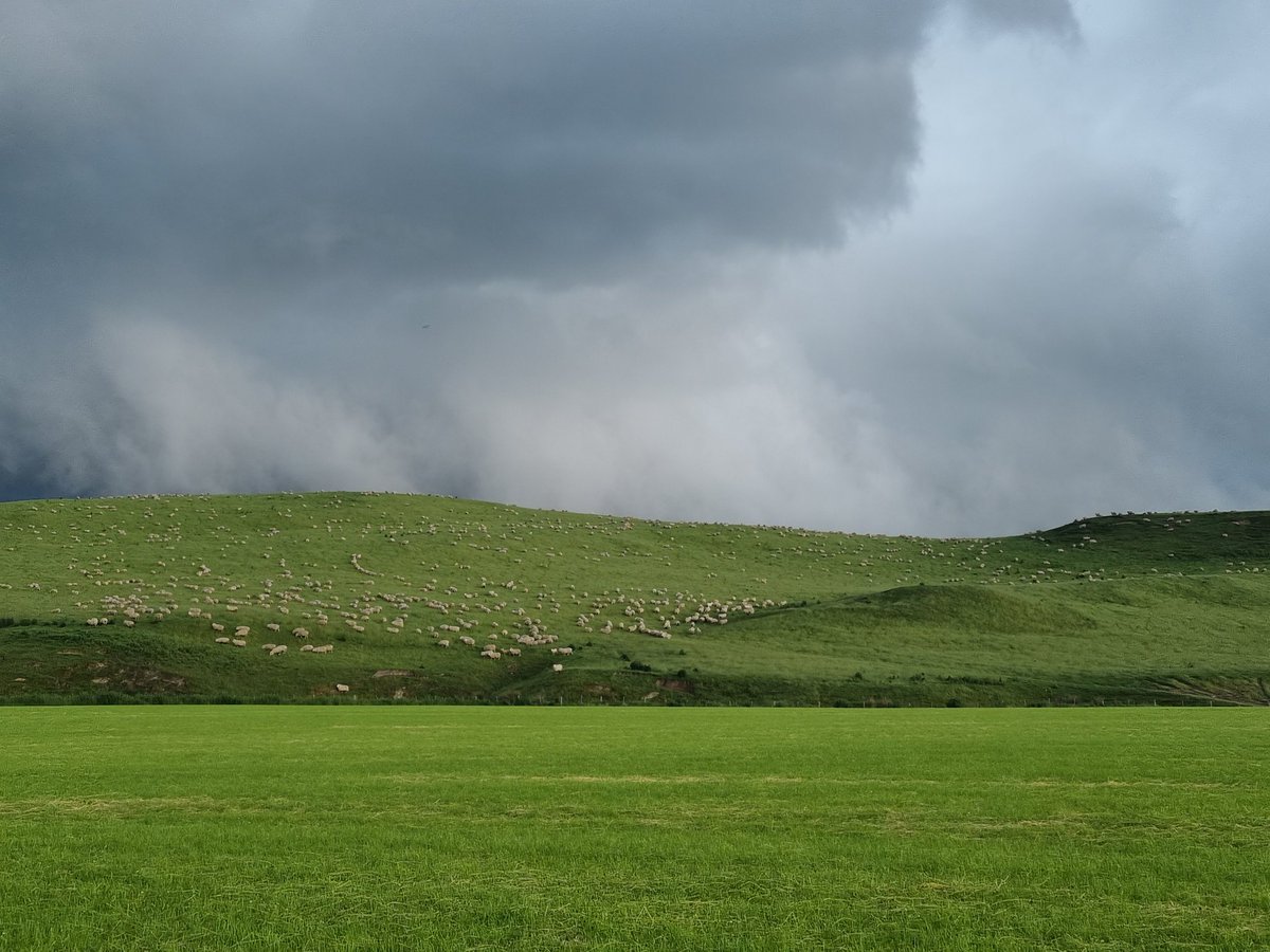 Ben Dooley 🧢 tweet media