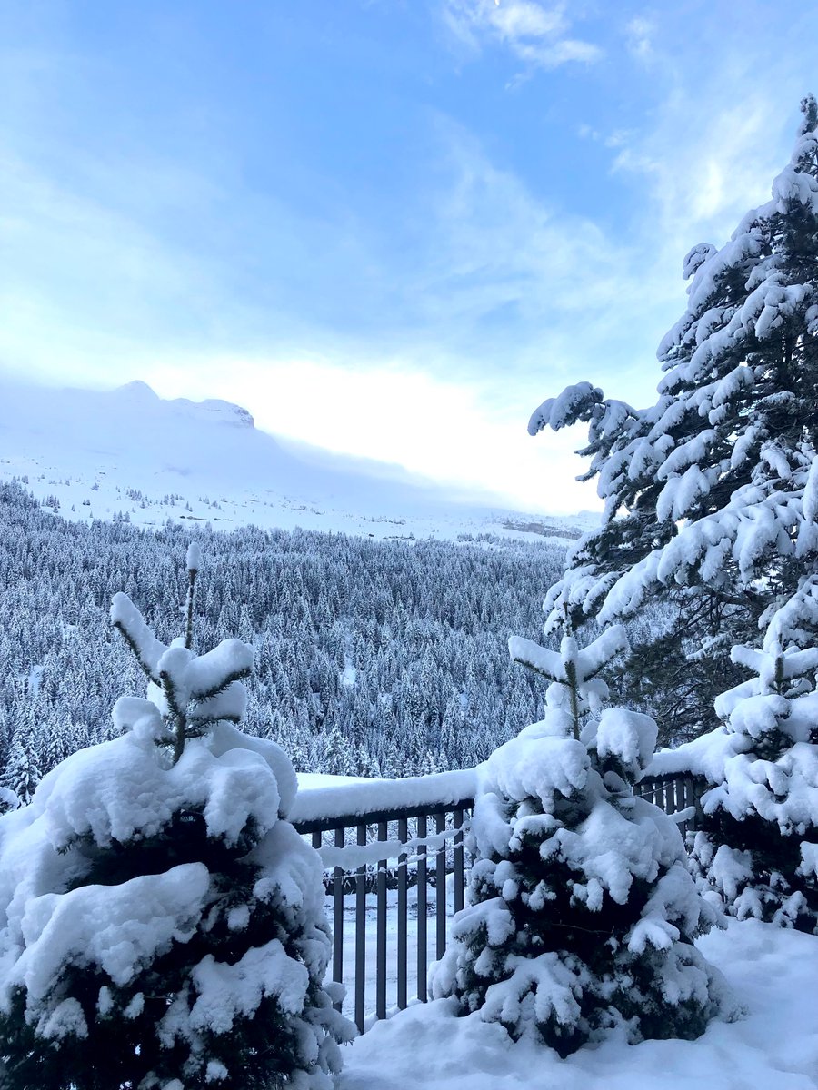 Station de FLAINE tweet media