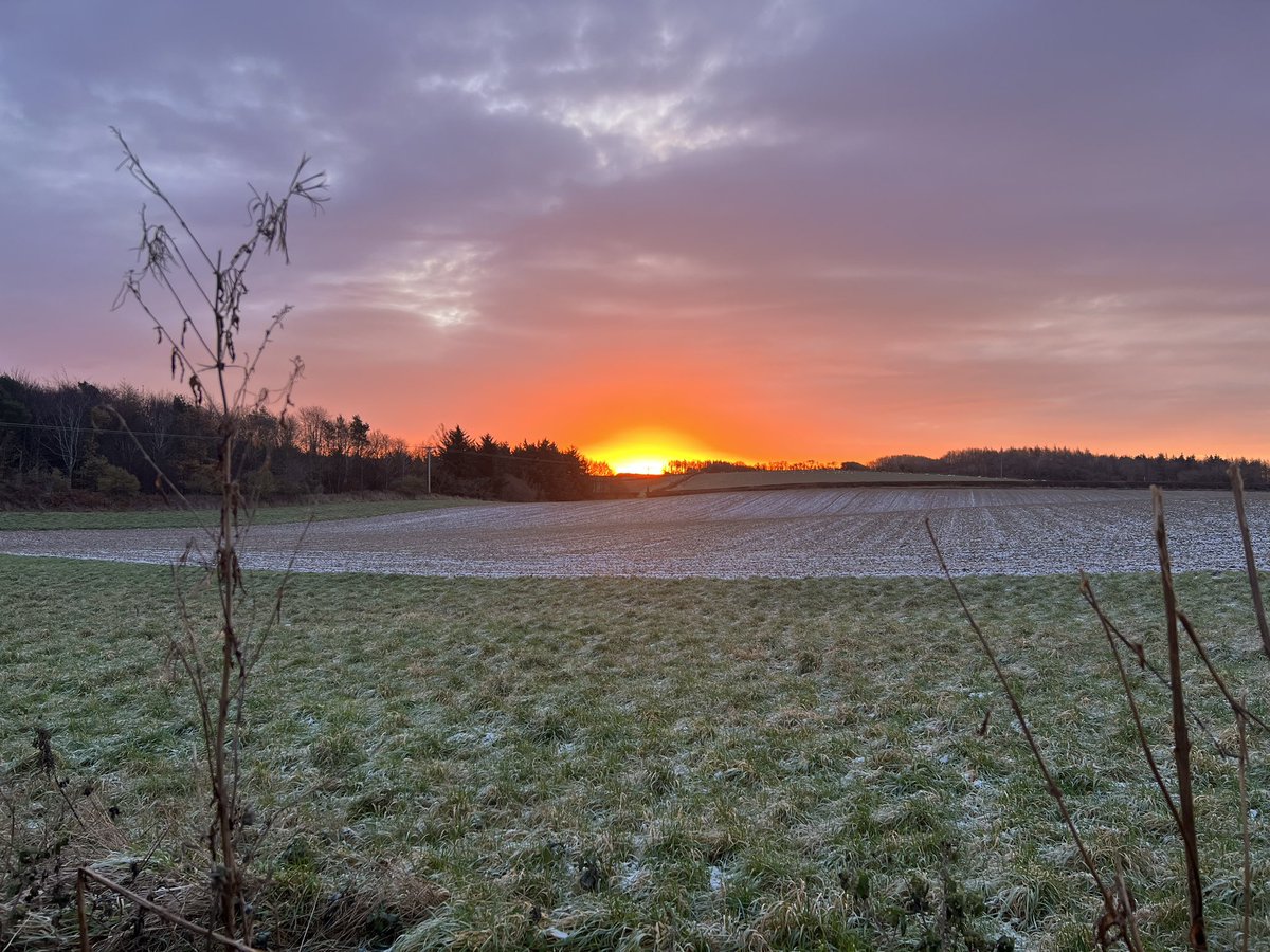 Jane Hardy (Crazy seal lady) tweet media