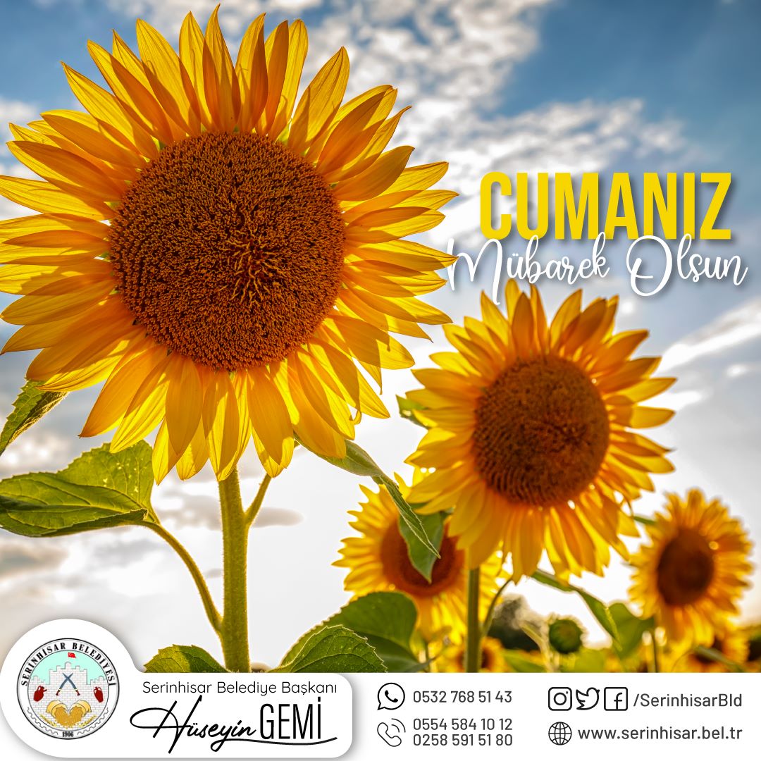Sağlık ve mutluluk dolu günlerin hayatınızdan eksik olmaması dileğiyle. Gününüz aydın Cumamız Mübarek olsun.
#HayırlıCumalar

Hüseyin GEMİ
T.C. Serinhisar Belediye Başkanı