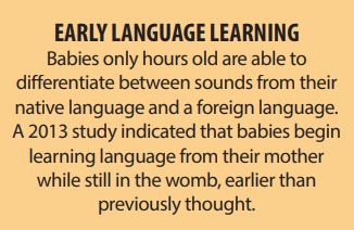 Council of Europe Education tweet media