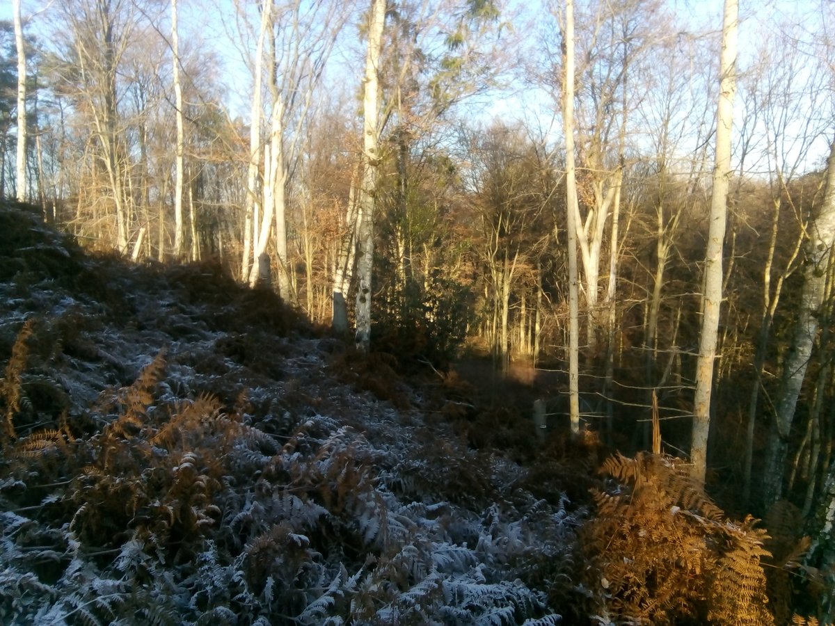 FSC Belgium tweet media