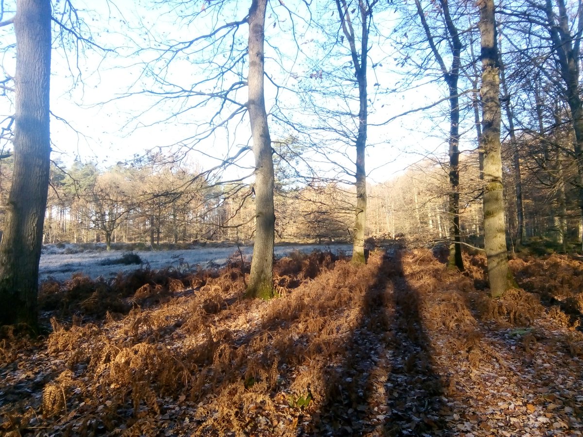 Persaandacht voor audit #FSC boscertificering in de Brabantse Wouden 

hln.be/leuven/kunnen-…