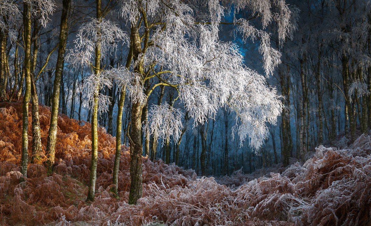 This was a ‘oh crikey’ moment for sure. Thought I’d opened the door to flippin’ Narnia (I may call it that). 

A personal favourite this one - a morning that’ll live long in the memory!