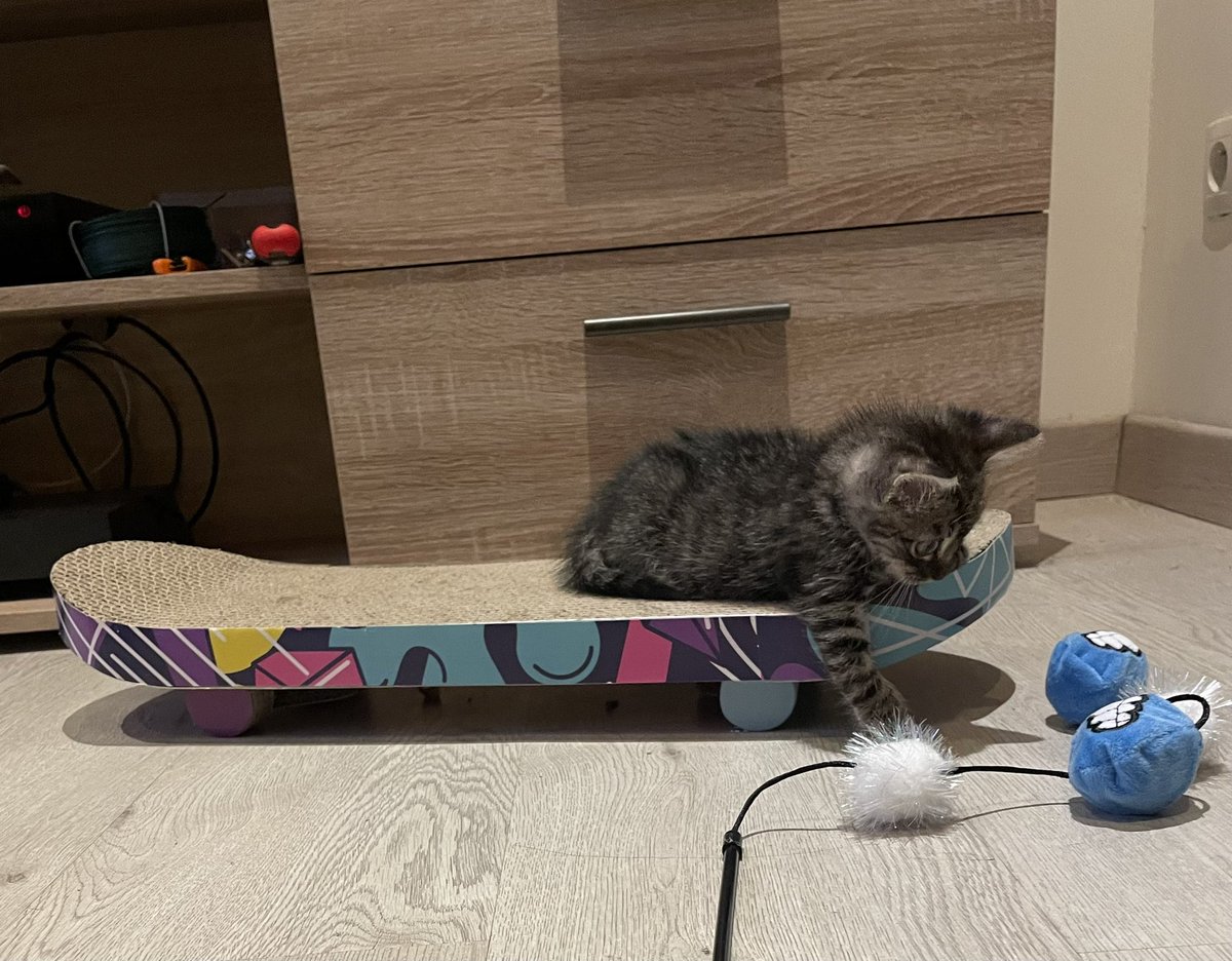 zrrlaoi's tweet photo. 2 mois vs 5 mois 🥹🥰 https://t.co/tlwTnatkls