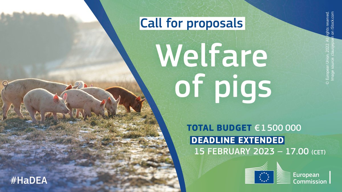 EU_HaDEA's tweet photo. Deadline extended⚠️

The EU is working to progressively improve the welfare status of farmed animals.

You can still apply for the call for proposals on pig welfare to phase out the tail docking practice until 15 February 2023
👉 https://t.co/q5657v4ak5

 #EU4AnimalWelfare https://t.co/AxCeFdEpLY