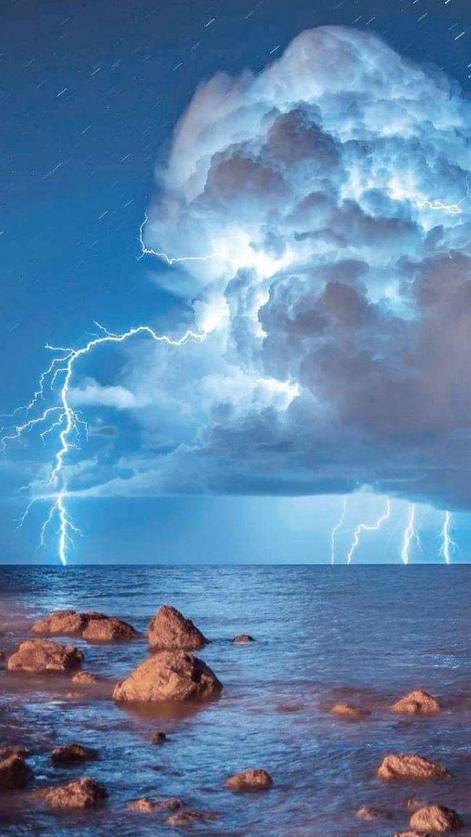 nature_forum's tweet photo. So beautiful #nature https://t.co/x4crt51faa