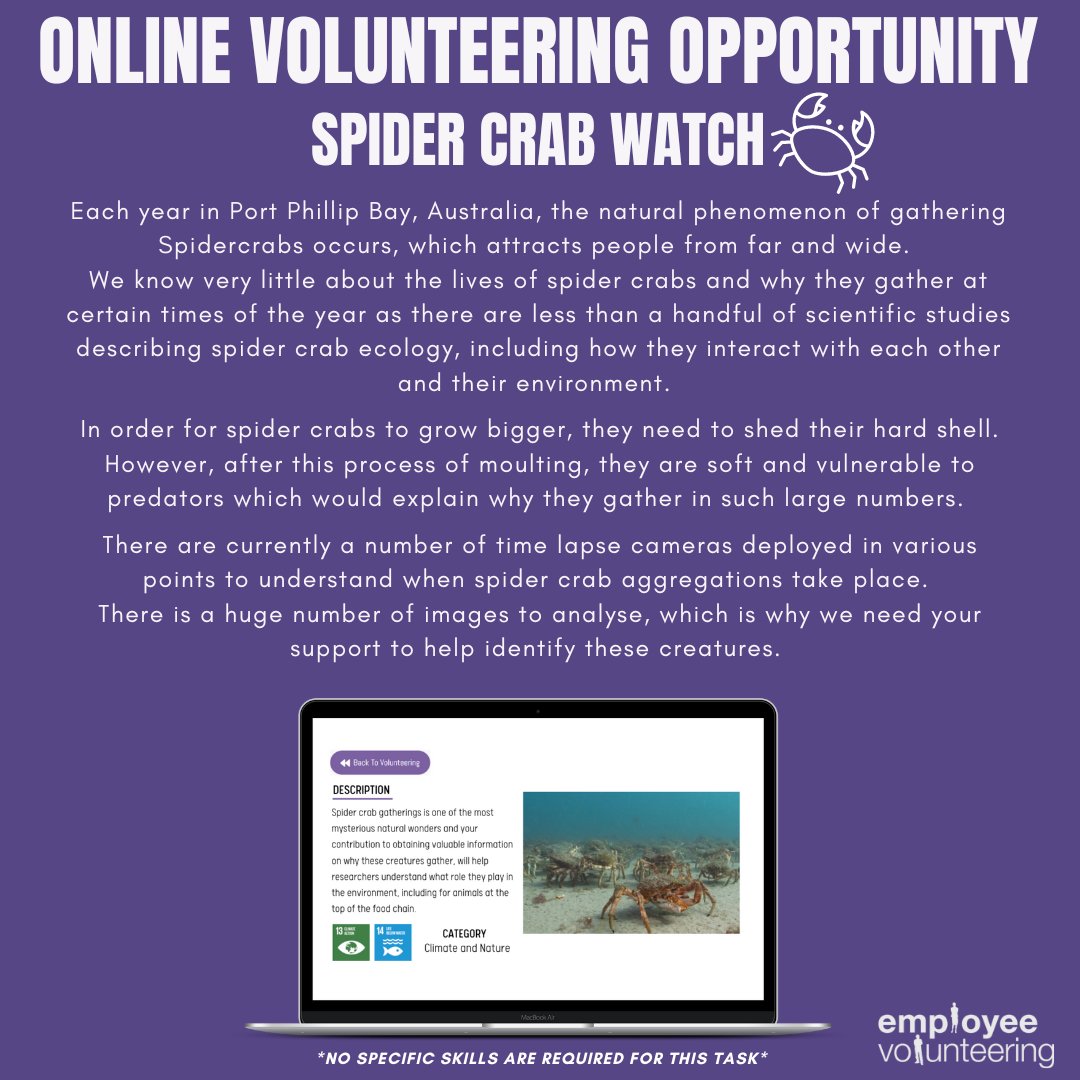 By participating &amp; identifying Spider Crabs in this volunteering opportunity, you’ll be supporting scientists &amp; directly contributing towards SDG Goal 13: Climate Action and Goal 14: Life Below Sea!
#volunteering #onlinevolunteering #employeevolunteering #volunteeringopportunity