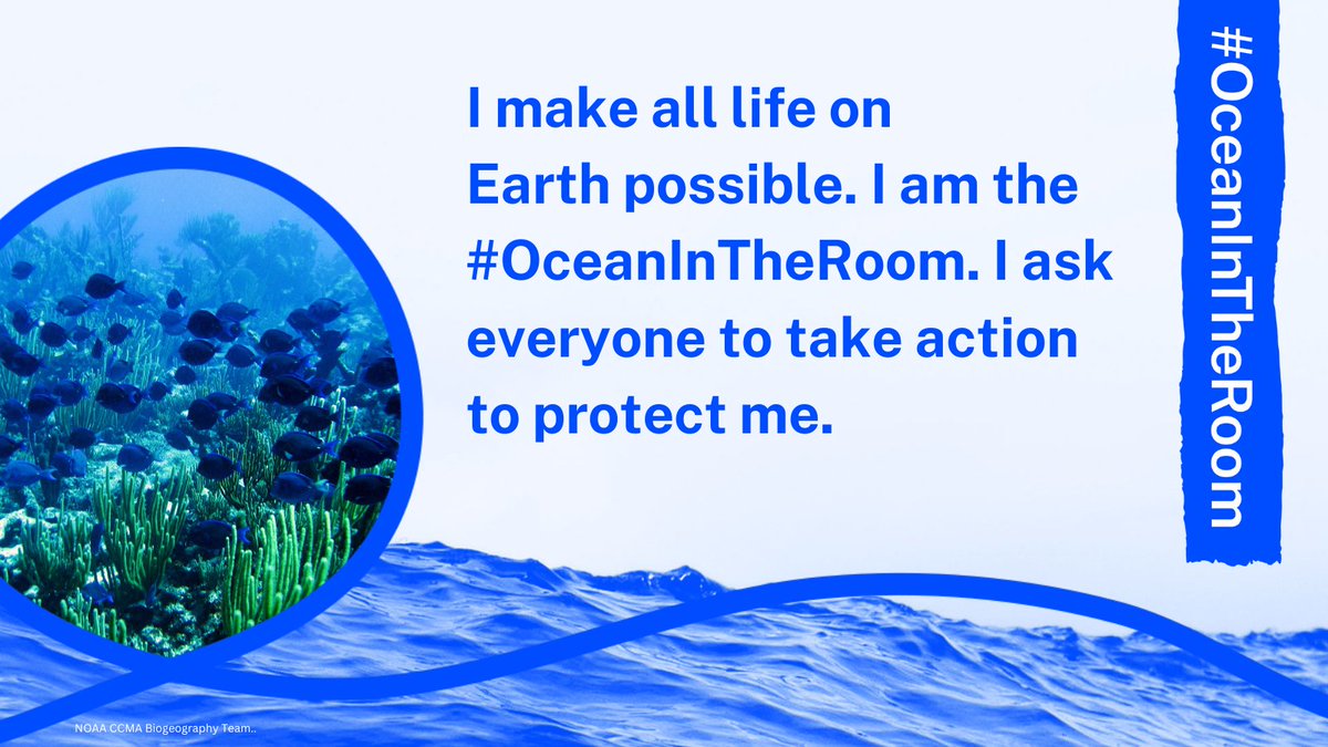 CommsINC's tweet photo. Today the #ocean is central at @CBD_COP15 and needs to be in every room where decisions for the future of our #OneOceanOnePlanet are made. It’s time to stop neglecting the blue 💙 of our planet. https://t.co/jkfvbYdanl
#OceanInTheRoom #30x30 #NatureCOP15 #COP15 #CBD15 #ForNature https://t.co/2MmBwDr7lU