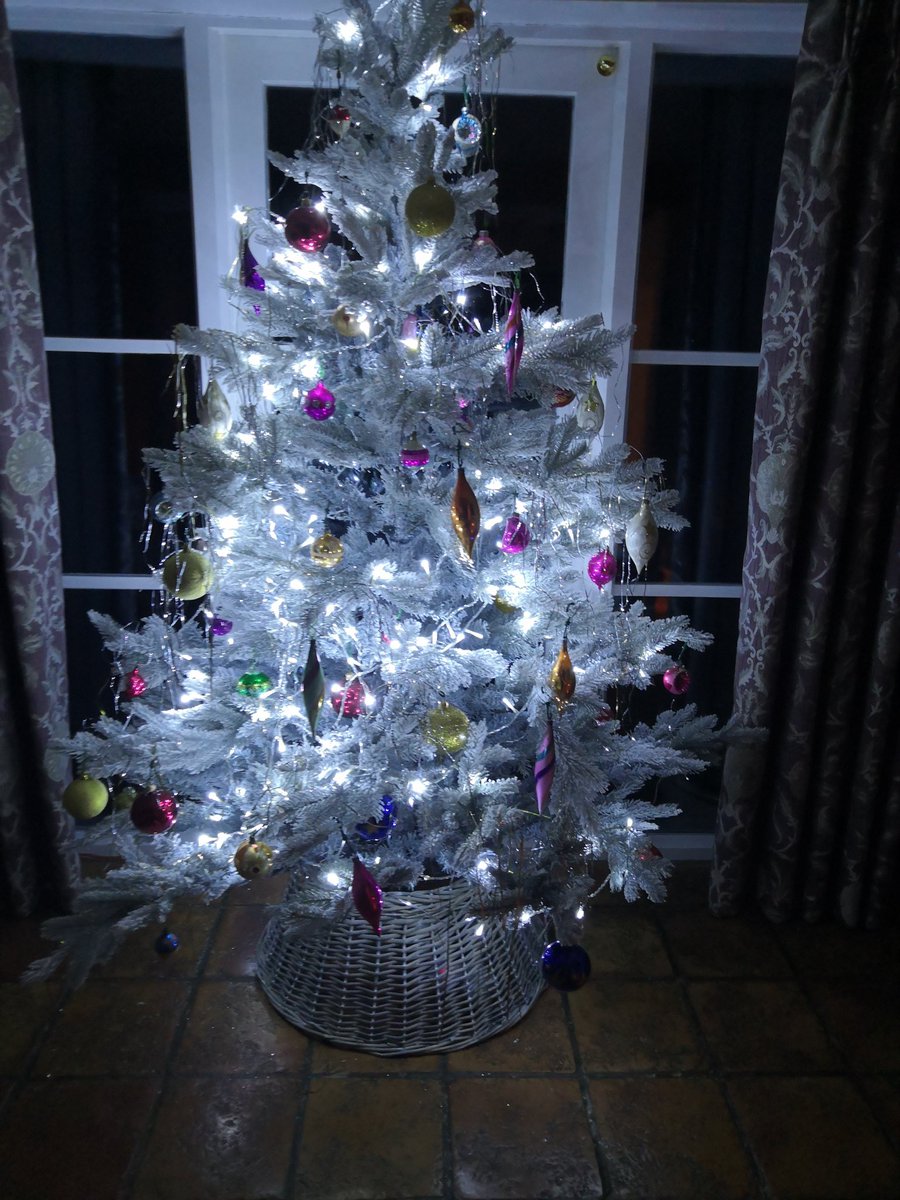 Cat_Physio95's tweet photo. Pt sent me their lit up tree with a Thankyou note after helping her decorate it yesterday. Perfect UL and standing practice task! #functionalrehab #neurorehab #meaningfulpractice @NPPNeuroGroup https://t.co/xkOjQJ3vzv