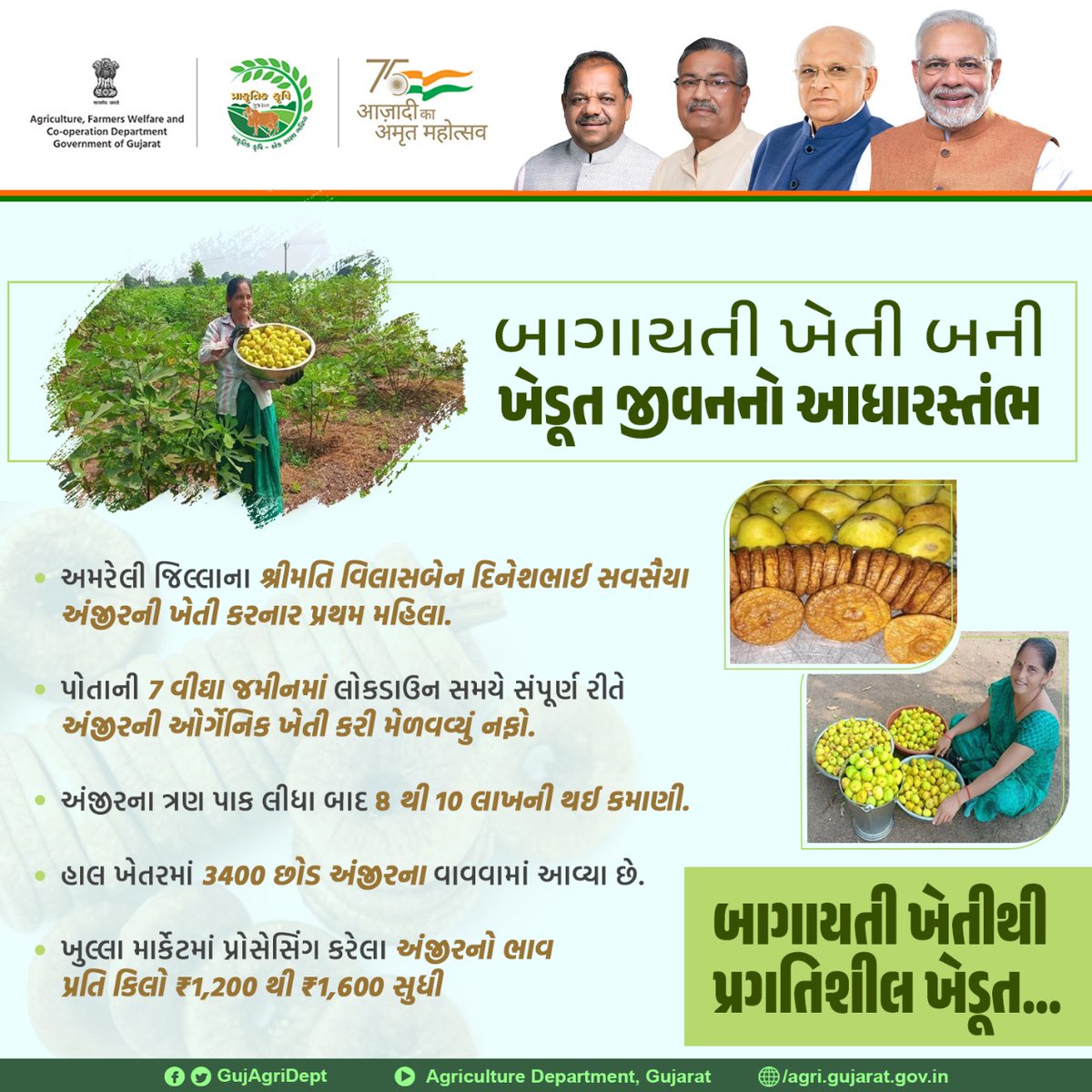 GujAgriDept's tweet photo. બાગાયતી ખેતી. ખેડૂતની સમૃદ્ધિ. https://t.co/qvTQ9LGlZV