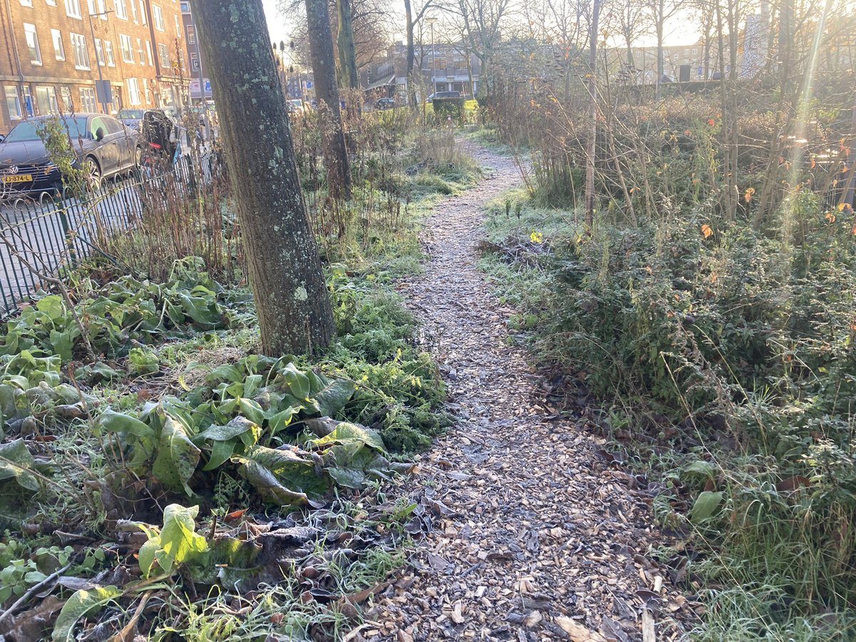 rinibiemans's tweet photo. Het is winter in #park1943 #matuurpark #winterbeeld 😀🍀❄️ https://t.co/aiJGIIegnv