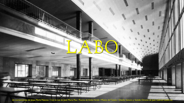 Curtcircuit33 tweet media