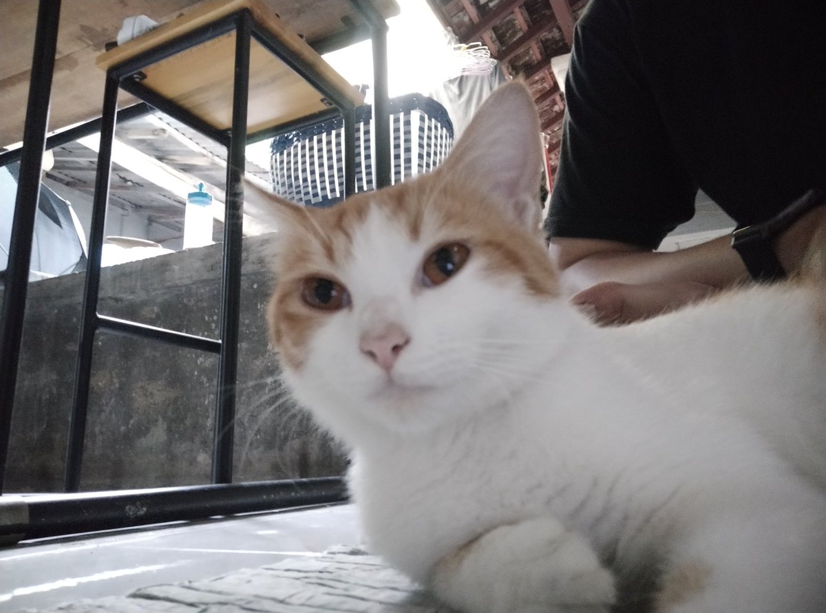 charisious's tweet image. Si paling tengil