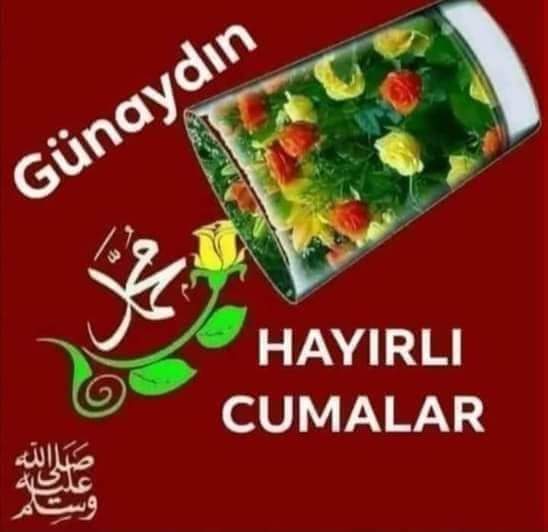 GokdulMustafa's tweet photo. @Zubeyde03101686 https://t.co/O6YXlYyo2j