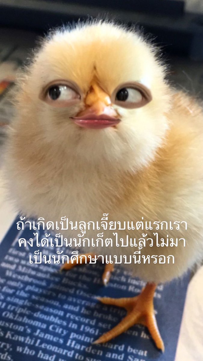 act tweet media