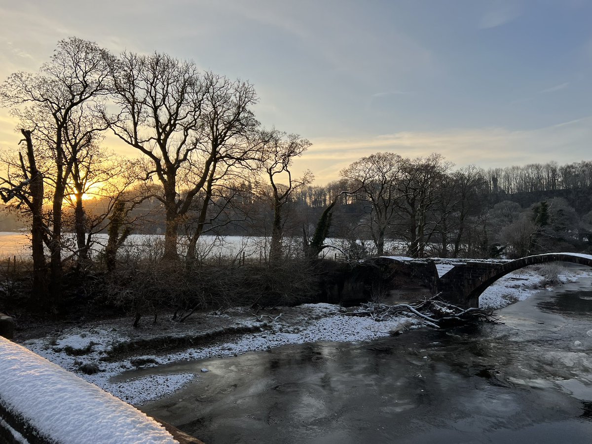 It’s grim up north 4/n - brass monkey edition